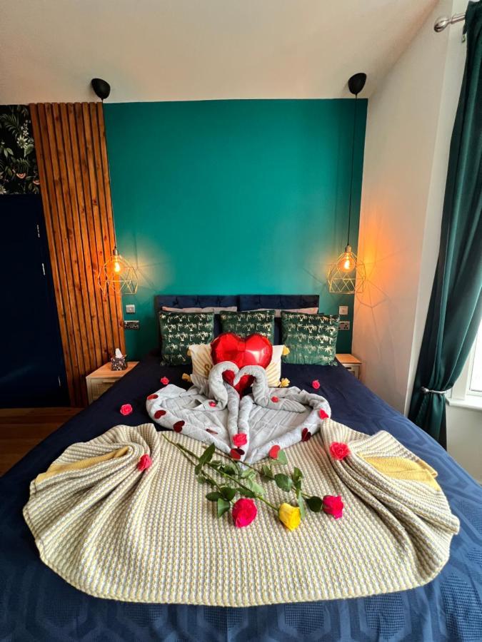 Flamingo Lodge トーキー エクステリア 写真